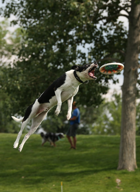 Glock