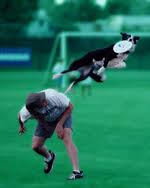Chris Sexton and Laika